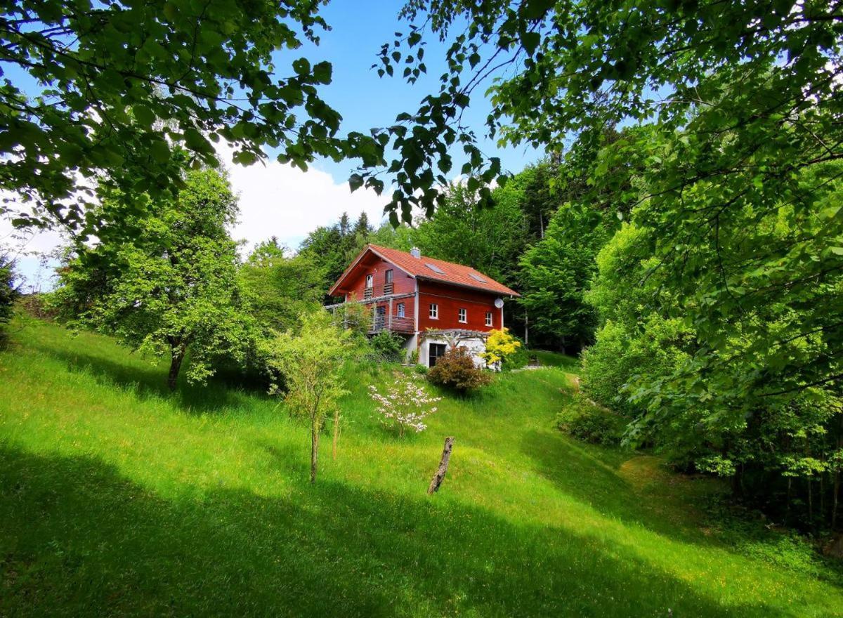 Ferienwohnung Am Woid - Herrliche Alleinlage - Vegane Einrichtung Waldkirchen Kültér fotó